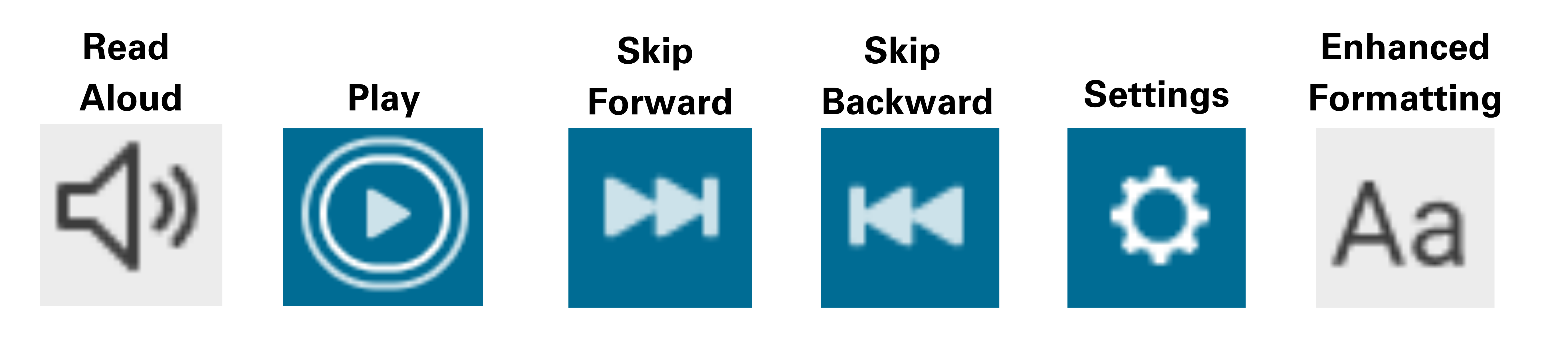 This displays the six icons a person can expect to see if using the UDL features in Immediate Access.