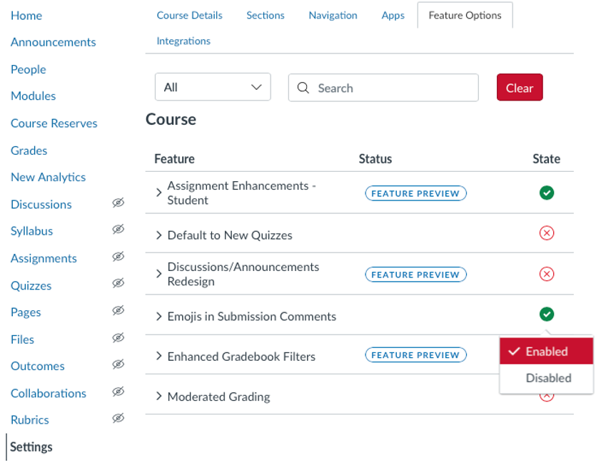 How to select Feature Options in Canvas course settings